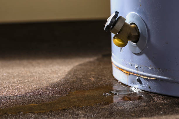 Best 24/7 water damage repair  in Mill Creek, WA