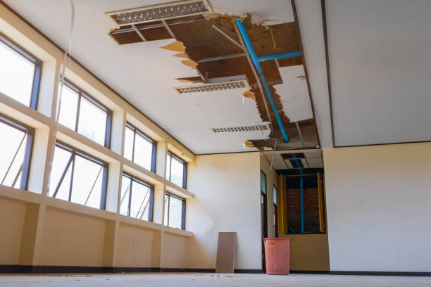 Best Sewage cleanup and water damage restoration  in Mill Creek, WA