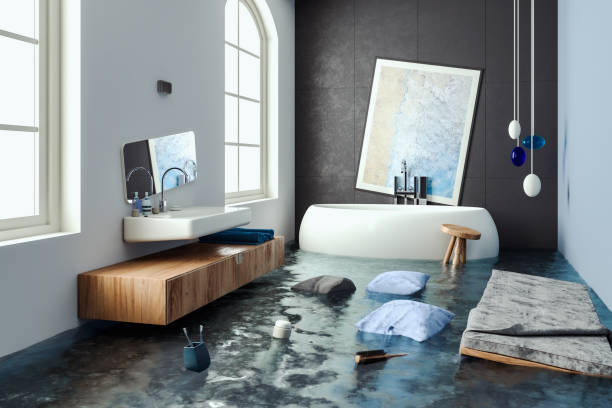 Best Water damage restoration company  in Mill Creek, WA