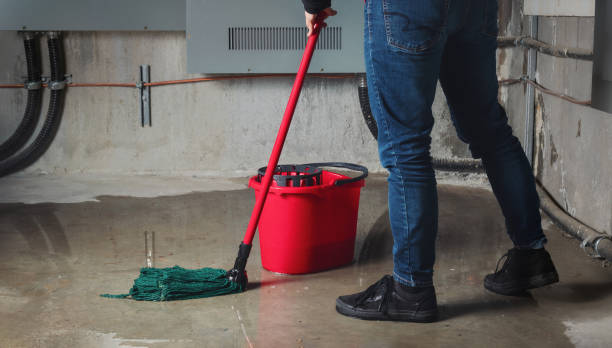 Best Local water damage restoration  in Mill Creek, WA