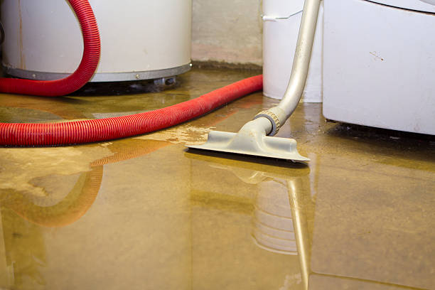 Best Ceiling water damage repair  in Mill Creek, WA