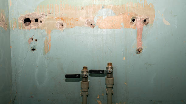 Reliable Mill Creek, WA Water damage restoration Solutions