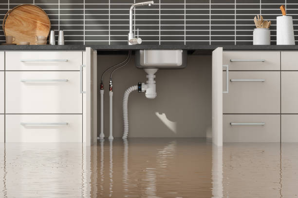 Best Emergency water damage restoration  in Mill Creek, WA