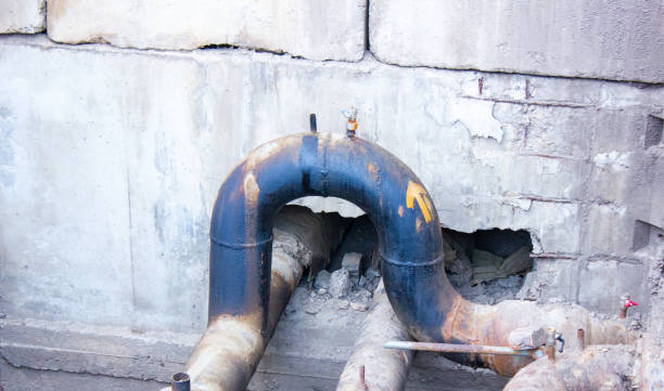 Best Water damage restoration near me  in Mill Creek, WA